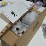 SPECIAL DELIVERY