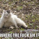 So drunk