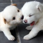 THAT TICKLES