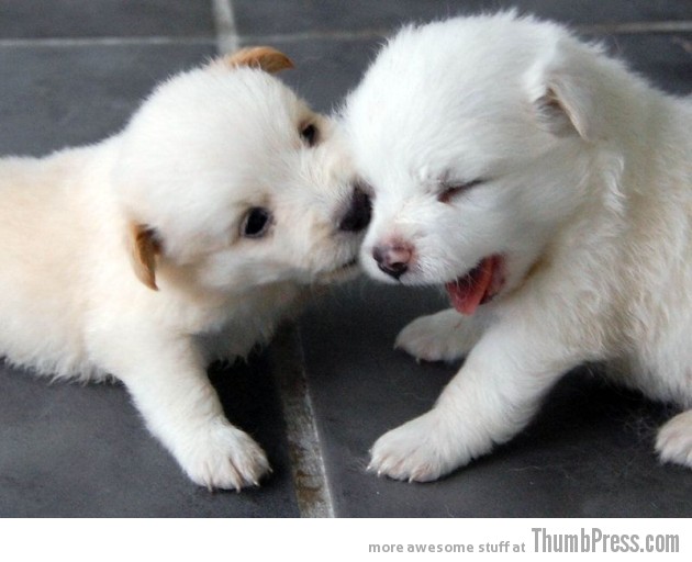 THAT TICKLES 630x512 The Awwsome Cuties Are Here to Save The World (30 Heart Melting Pics)