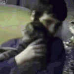 The cat was just bored