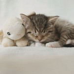 YOU'RE MY BEST FRIEND