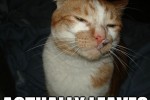 Cool Cat Craig - 1