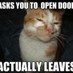 Cool Cat Craig - 1