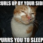 Cool Cat Craig - 10