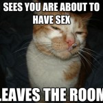 Cool Cat Craig - 11