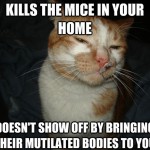 Cool Cat Craig - 12