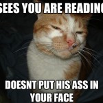 Cool Cat Craig - 13