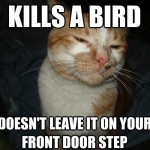 Cool Cat Craig - 15