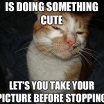 Cool Cat Craig - 16