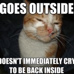 Cool Cat Craig - 2