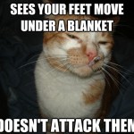 Cool Cat Craig - 3