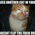 Cool Cat Craig - 4