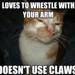 Cool Cat Craig - 5
