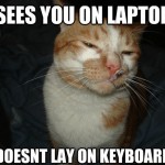 Cool Cat Craig - 6