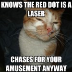 Cool Cat Craig - 7