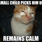 Cool Cat Craig - 8