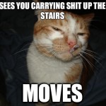 Cool Cat Craig - 9