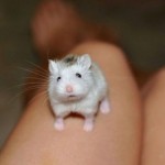 I see you up there