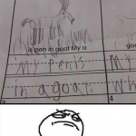 In a goat