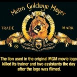 Mind Blowing Facts 14