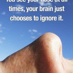Mind Blowing Facts 17