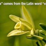 Mind Blowing Facts 23