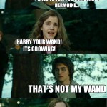 Not my wand