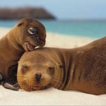 Relaxing on the beach