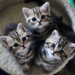 Take us home with you