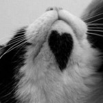 You left your heart on my chin