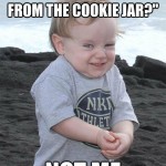 Who took the cookies