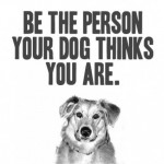 Be the person