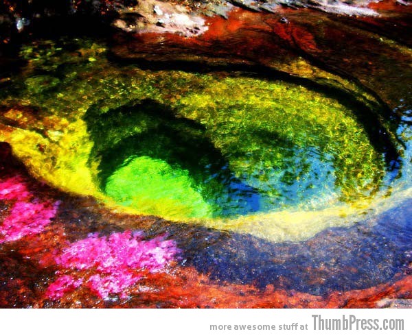 Canõ Cristales Colombia 10 Amazing Alien Like Places on Our World That Are From Another Planet