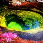 Canõ Cristales Colombia