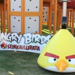 Angry Birds Theme Park - 7