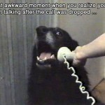 Awkward phone call