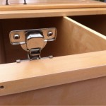 Caught this guy climbing out of a cabinet