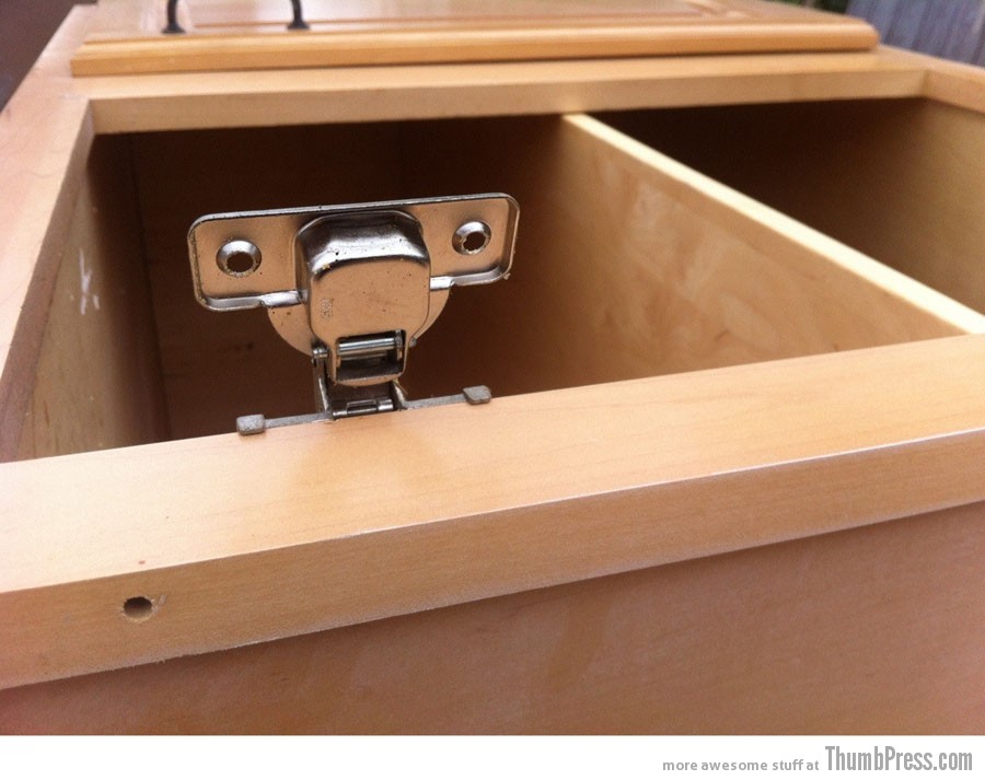 Caught this guy climbing out of a cabinet