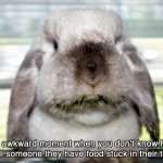 Food stuck in teeth