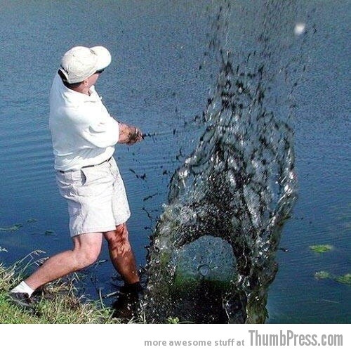 Golfer frees Wolfman from water