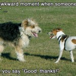Good, thanks