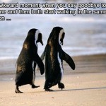 Goodbye