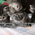 Gossiping