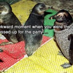 Party