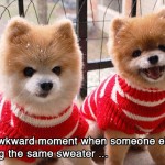 Same sweater