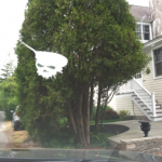 Some very sinister bird shit