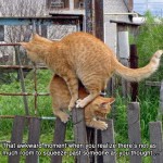Squeeze past