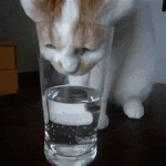 Water, how not to drink it