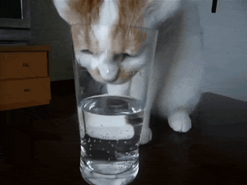 Water, how not to drink it